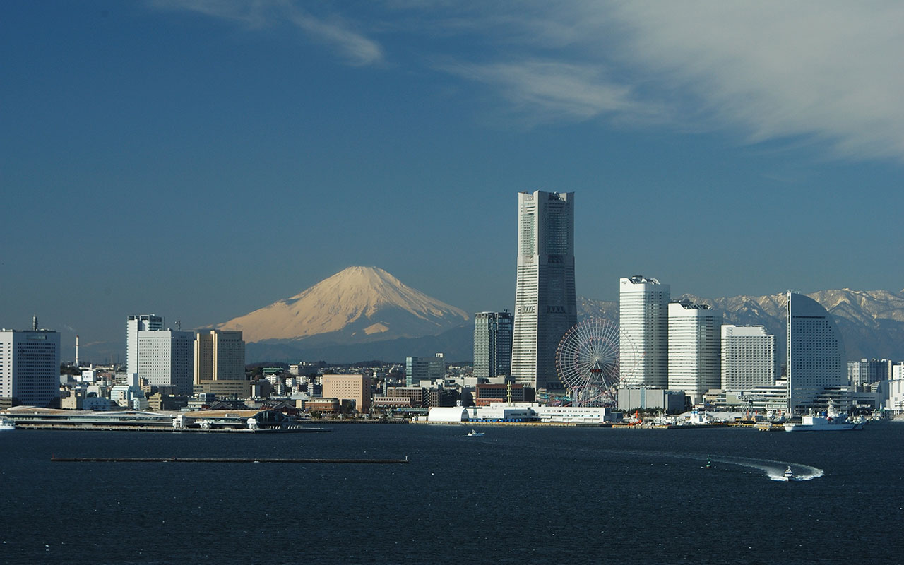 "フィードフォワード"　アシストは未来に向けて解決提案します