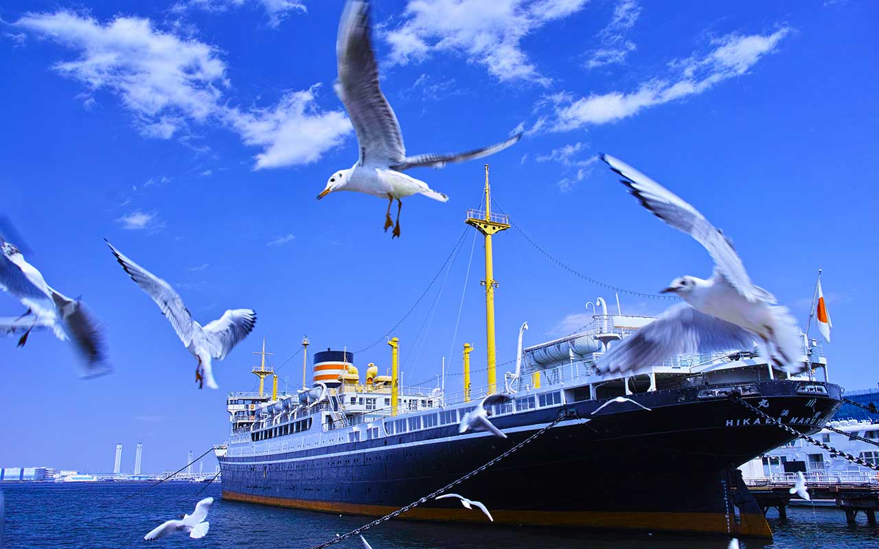 "日々成長" 　アシストは社員と共に日々成長し続けます